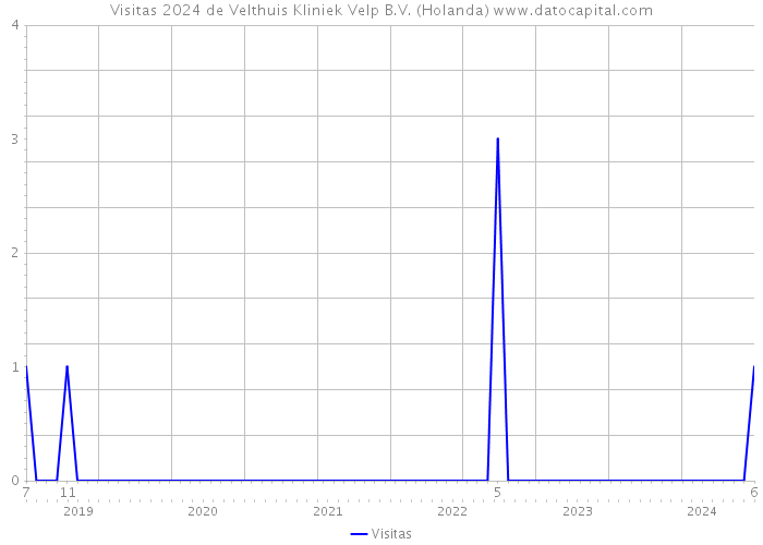Visitas 2024 de Velthuis Kliniek Velp B.V. (Holanda) 