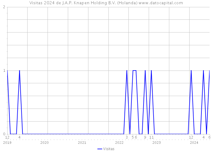 Visitas 2024 de J.A.P. Knapen Holding B.V. (Holanda) 