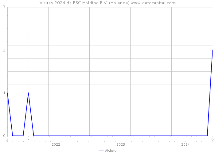 Visitas 2024 de FSC Holding B.V. (Holanda) 