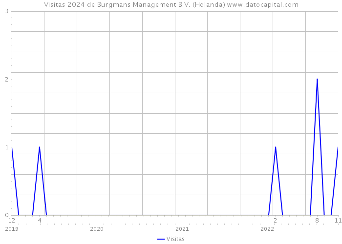 Visitas 2024 de Burgmans Management B.V. (Holanda) 
