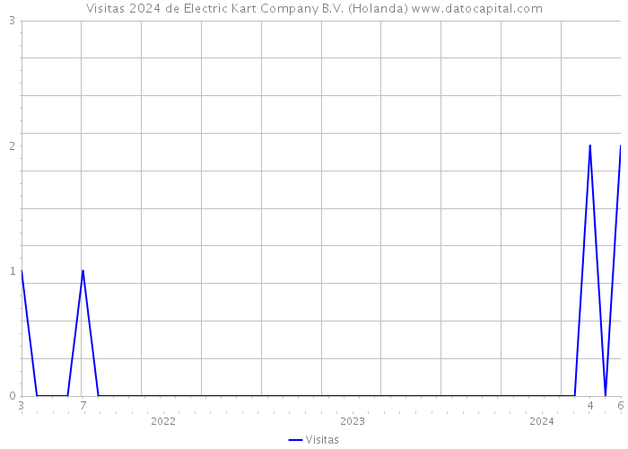 Visitas 2024 de Electric Kart Company B.V. (Holanda) 