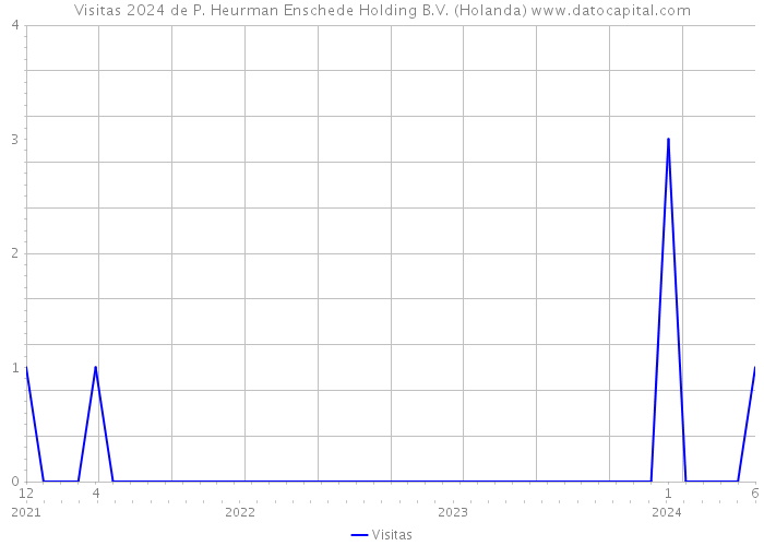 Visitas 2024 de P. Heurman Enschede Holding B.V. (Holanda) 