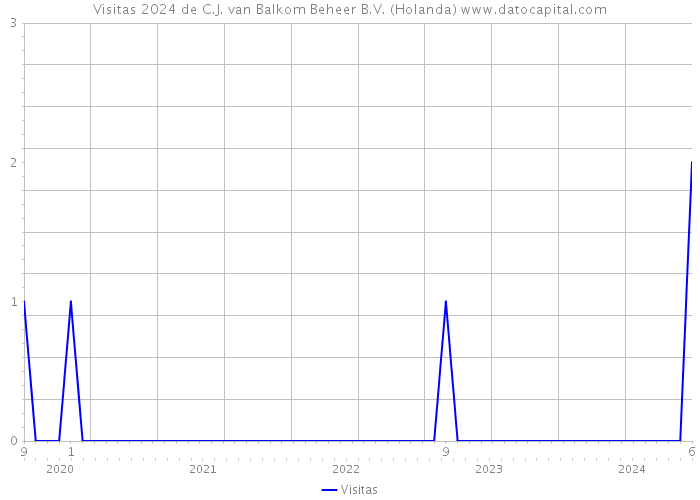 Visitas 2024 de C.J. van Balkom Beheer B.V. (Holanda) 