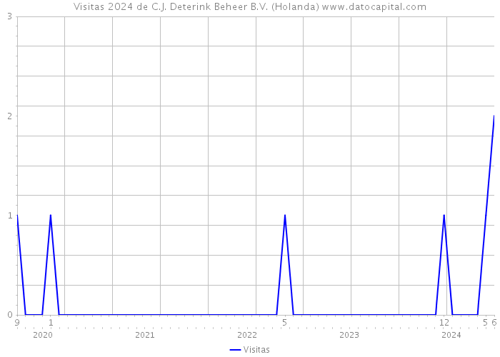 Visitas 2024 de C.J. Deterink Beheer B.V. (Holanda) 