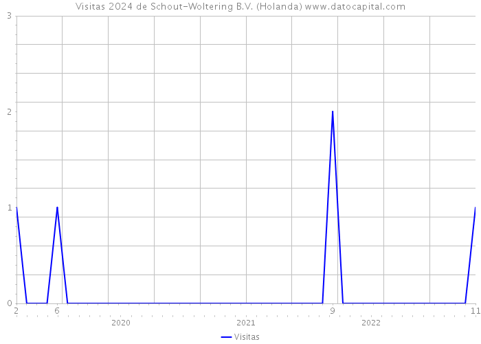 Visitas 2024 de Schout-Woltering B.V. (Holanda) 