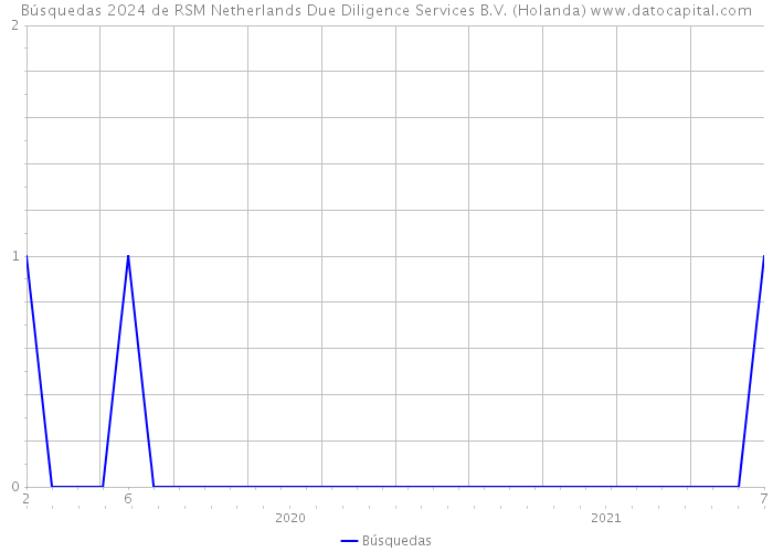 Búsquedas 2024 de RSM Netherlands Due Diligence Services B.V. (Holanda) 