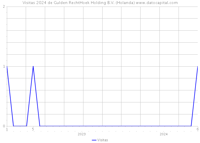 Visitas 2024 de Gulden RechtHoek Holding B.V. (Holanda) 