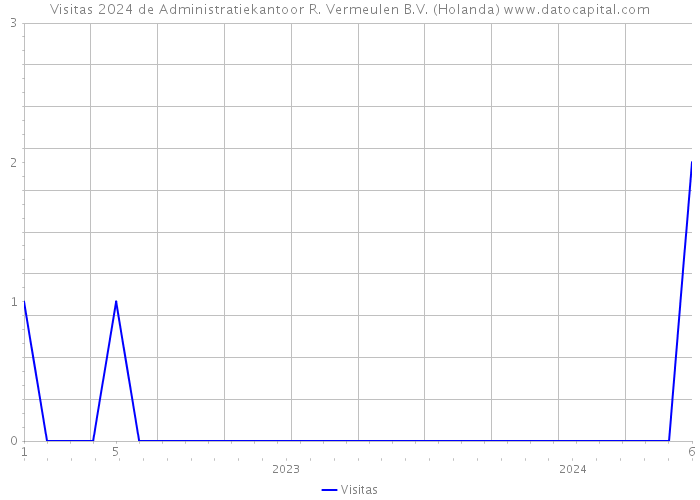 Visitas 2024 de Administratiekantoor R. Vermeulen B.V. (Holanda) 