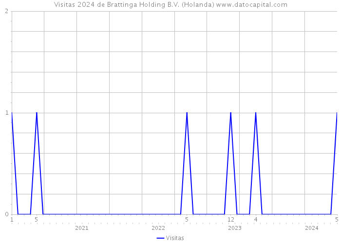 Visitas 2024 de Brattinga Holding B.V. (Holanda) 