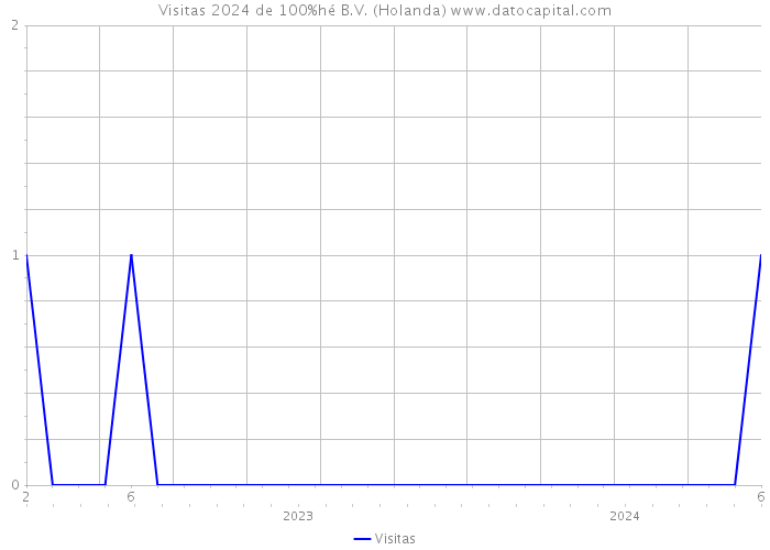 Visitas 2024 de 100%hé B.V. (Holanda) 