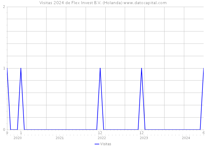 Visitas 2024 de Flex Invest B.V. (Holanda) 