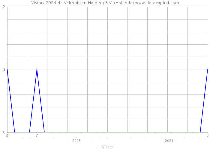 Visitas 2024 de Velthuijsen Holding B.V. (Holanda) 