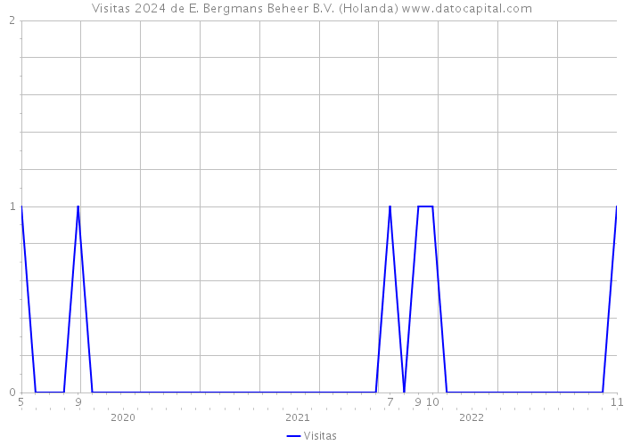 Visitas 2024 de E. Bergmans Beheer B.V. (Holanda) 