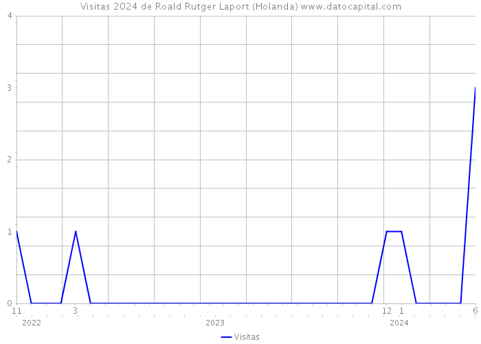 Visitas 2024 de Roald Rutger Laport (Holanda) 