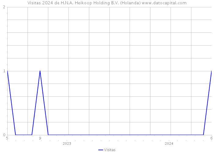 Visitas 2024 de H.N.A. Heikoop Holding B.V. (Holanda) 