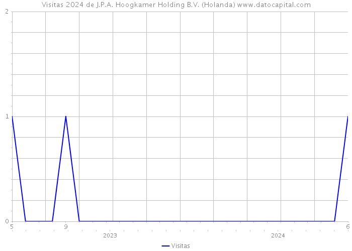 Visitas 2024 de J.P.A. Hoogkamer Holding B.V. (Holanda) 