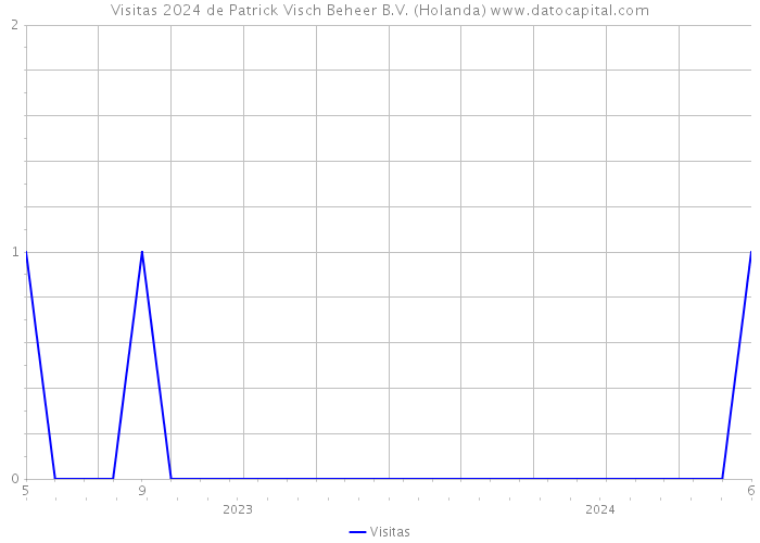 Visitas 2024 de Patrick Visch Beheer B.V. (Holanda) 