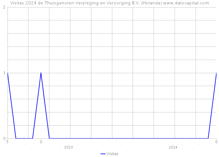 Visitas 2024 de Thuisgenoten Verpleging en Verzorging B.V. (Holanda) 