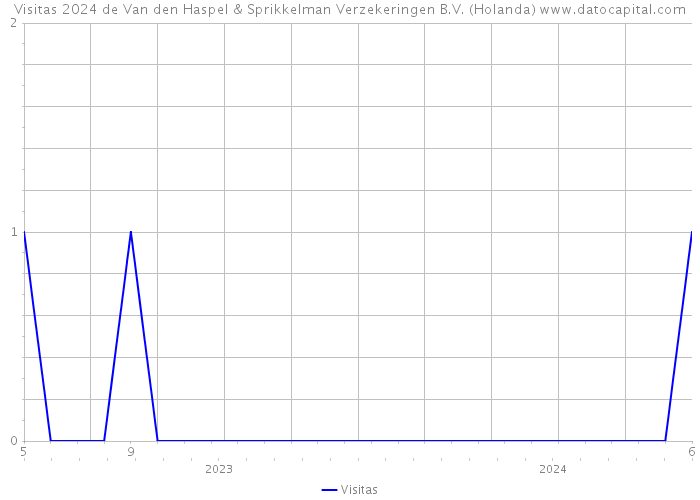 Visitas 2024 de Van den Haspel & Sprikkelman Verzekeringen B.V. (Holanda) 