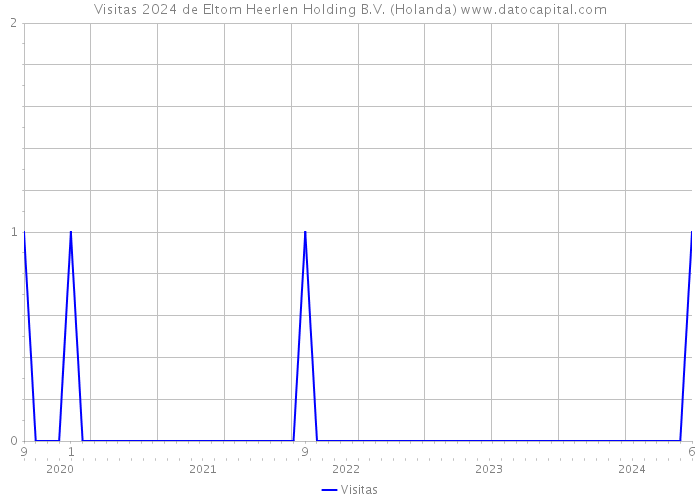 Visitas 2024 de Eltom Heerlen Holding B.V. (Holanda) 