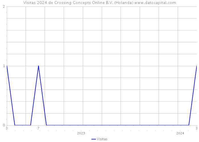 Visitas 2024 de Crossing Concepts Online B.V. (Holanda) 