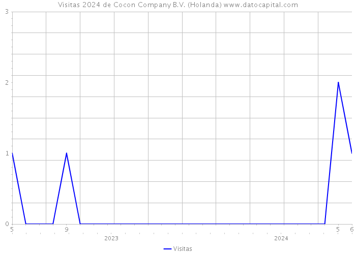 Visitas 2024 de Cocon Company B.V. (Holanda) 