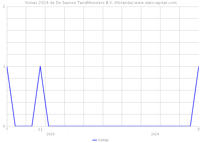 Visitas 2024 de De Saense TandMeesters B.V. (Holanda) 