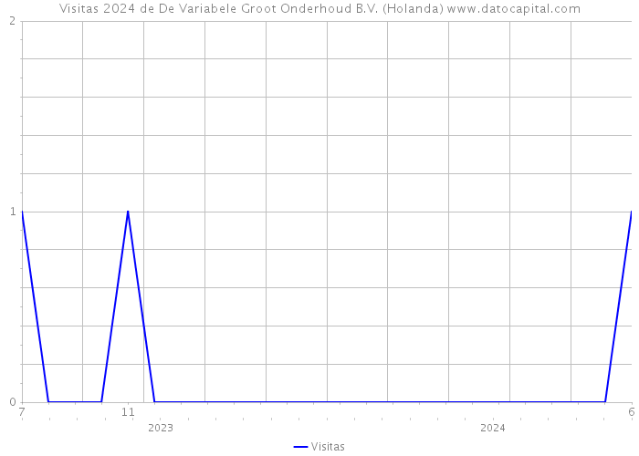 Visitas 2024 de De Variabele Groot Onderhoud B.V. (Holanda) 