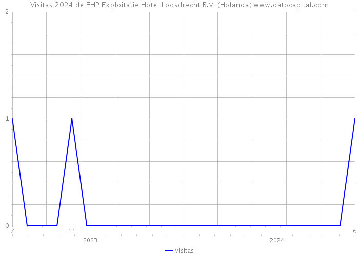 Visitas 2024 de EHP Exploitatie Hotel Loosdrecht B.V. (Holanda) 