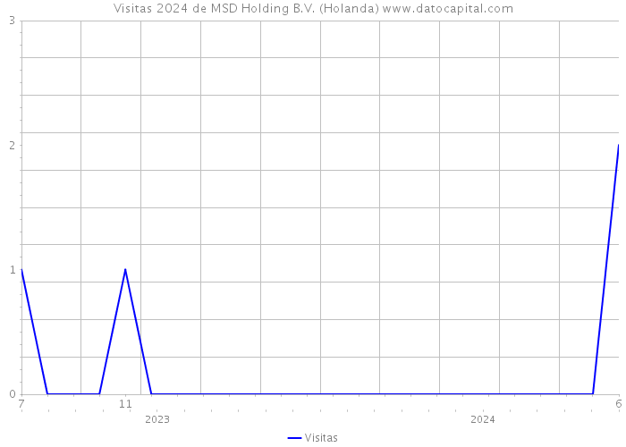 Visitas 2024 de MSD Holding B.V. (Holanda) 