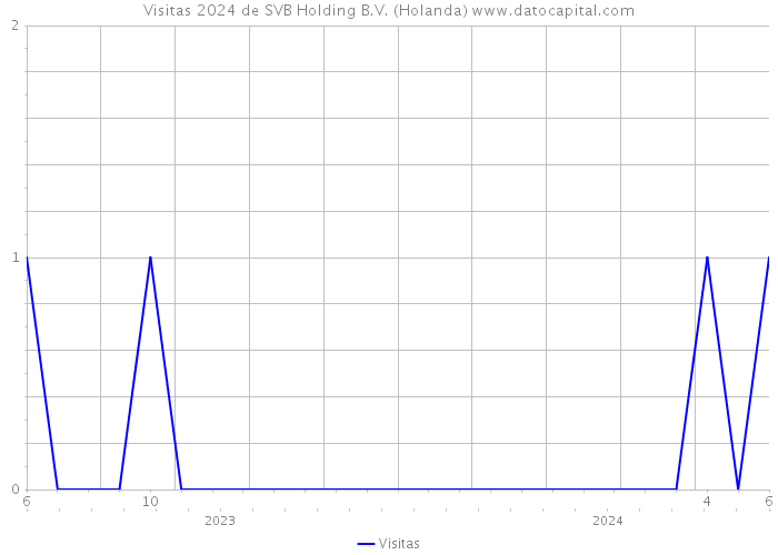 Visitas 2024 de SVB Holding B.V. (Holanda) 