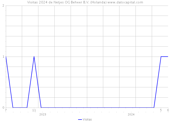 Visitas 2024 de Netjes OG Beheer B.V. (Holanda) 