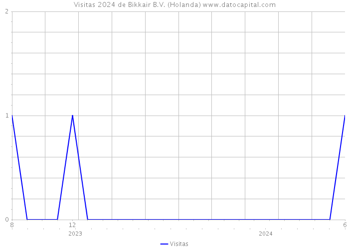 Visitas 2024 de Bikkair B.V. (Holanda) 
