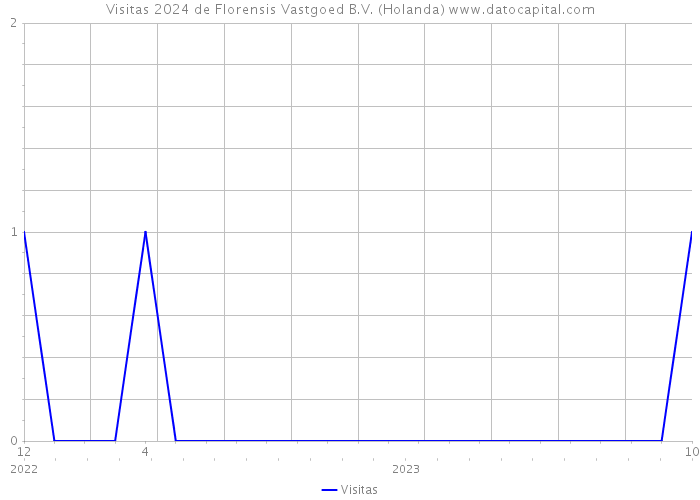 Visitas 2024 de Florensis Vastgoed B.V. (Holanda) 