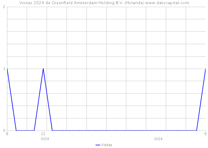 Visitas 2024 de Greenfield Amsterdam Holding B.V. (Holanda) 