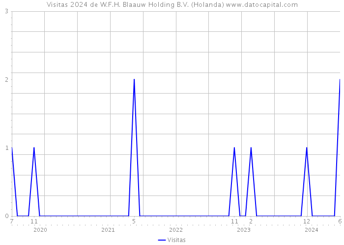 Visitas 2024 de W.F.H. Blaauw Holding B.V. (Holanda) 