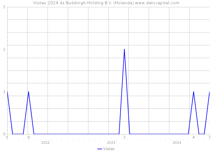 Visitas 2024 de Buddingh Holding B.V. (Holanda) 