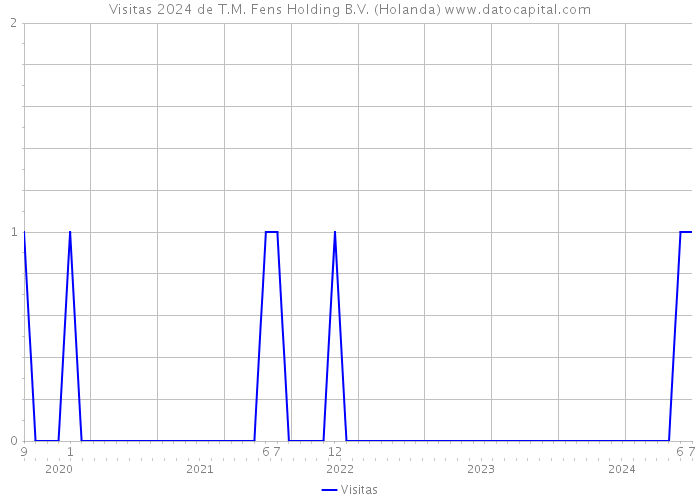 Visitas 2024 de T.M. Fens Holding B.V. (Holanda) 