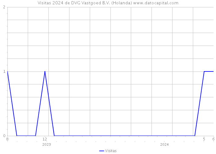 Visitas 2024 de DVG Vastgoed B.V. (Holanda) 