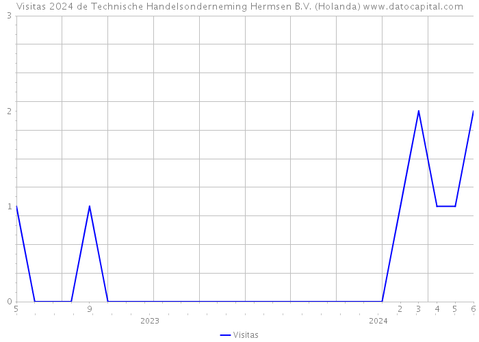 Visitas 2024 de Technische Handelsonderneming Hermsen B.V. (Holanda) 