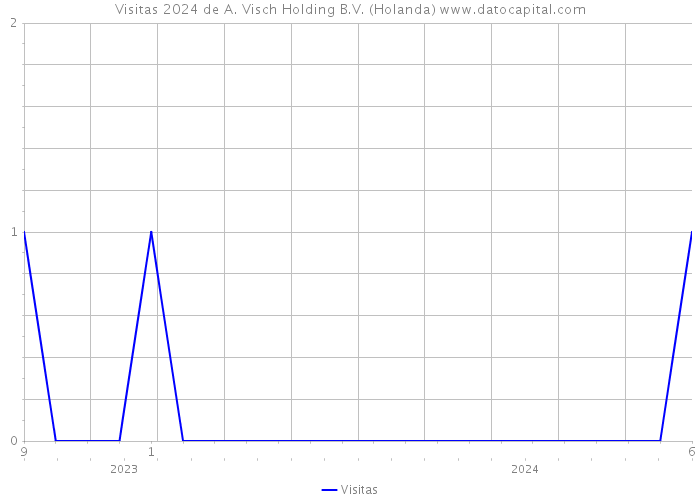 Visitas 2024 de A. Visch Holding B.V. (Holanda) 