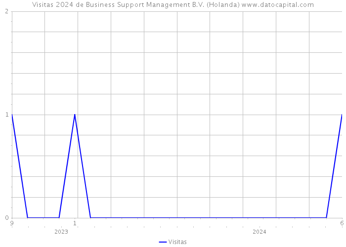 Visitas 2024 de Business Support Management B.V. (Holanda) 