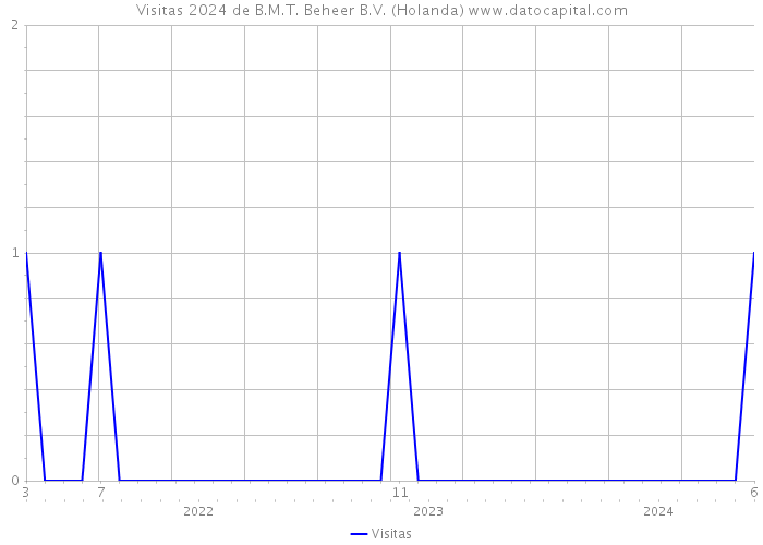 Visitas 2024 de B.M.T. Beheer B.V. (Holanda) 