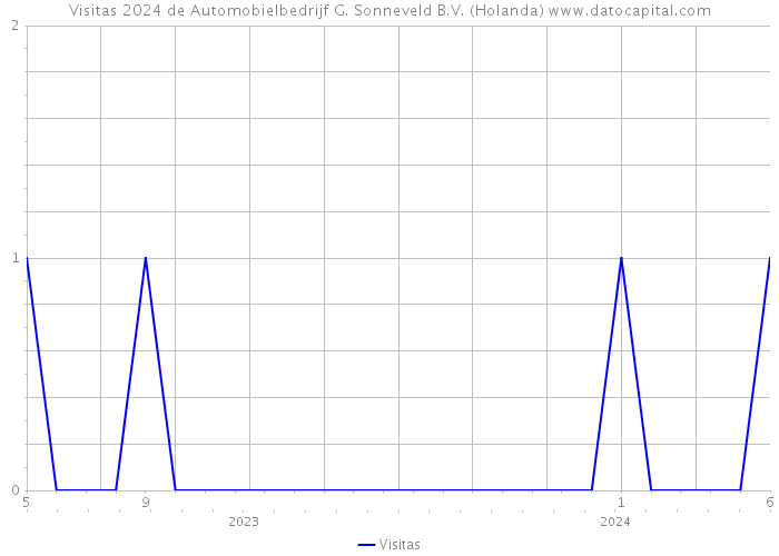 Visitas 2024 de Automobielbedrijf G. Sonneveld B.V. (Holanda) 