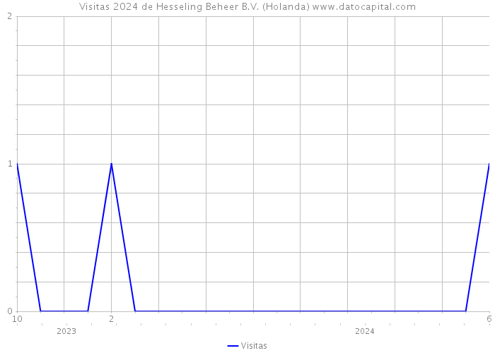 Visitas 2024 de Hesseling Beheer B.V. (Holanda) 