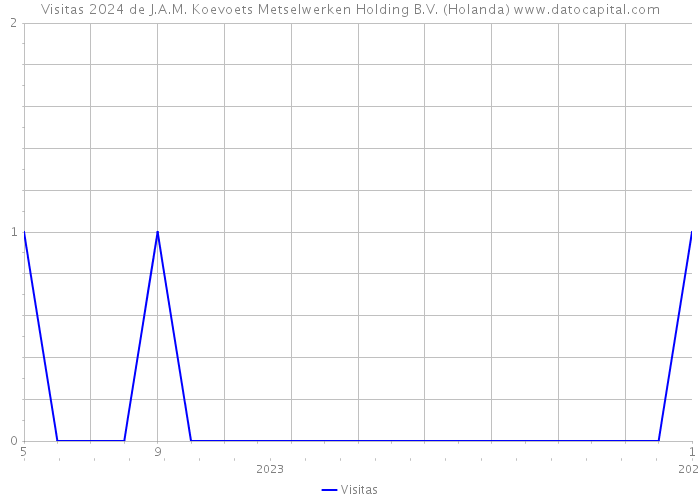 Visitas 2024 de J.A.M. Koevoets Metselwerken Holding B.V. (Holanda) 