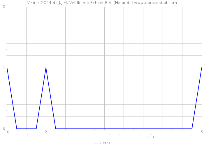 Visitas 2024 de J.J.M. Veldkamp Beheer B.V. (Holanda) 