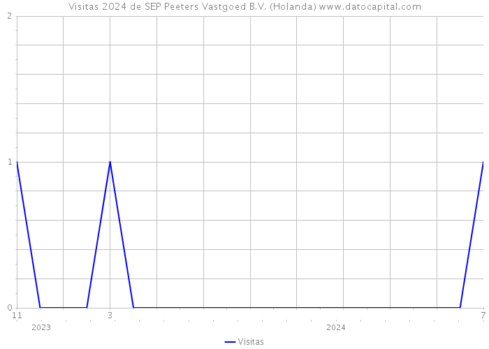 Visitas 2024 de SEP Peeters Vastgoed B.V. (Holanda) 