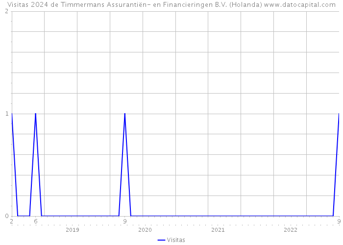 Visitas 2024 de Timmermans Assurantiën- en Financieringen B.V. (Holanda) 
