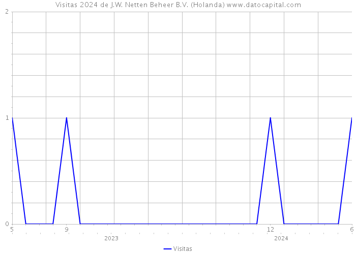 Visitas 2024 de J.W. Netten Beheer B.V. (Holanda) 